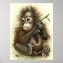 Recherche de orang outan posters Grand singe