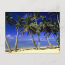 Recherche de plage palmier cartes postales Paysage