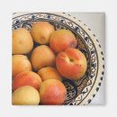 Recherche de abricots magnets Nourriture
