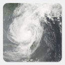 Recherche de parme autocollants Photographie