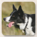 Recherche de canin dessous de verres Halètement