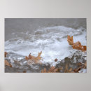 Zoek naar ijs posters Winter