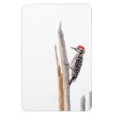 Recherche de pic magnets Oiseau