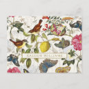 Recherche de botanique antique cartes postales Rose