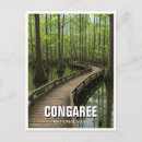 Recherche de marécage cartes postales Travel