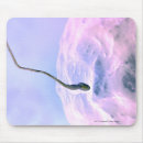 Recherche de sperm tapis souris Oeuf