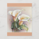 Recherche de callas cartes postales Floral