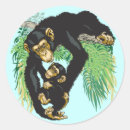 Recherche de chimpanzé autocollants Primate