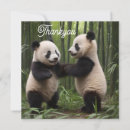 Recherche de bambou vœux cartes Forêt
