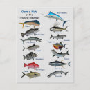 Recherche de fisher cartes postales Tropical
