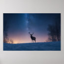 Zoek naar bachelor kunst Elegant