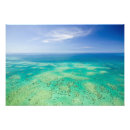 Recherche de corail turquoise posters Océan