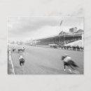 Recherche de courses de cheval cartes postales Course de chevaux