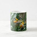 Recherche de oiseau paradis tasses Fleurs