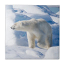 Recherche de masculin carreaux Faune