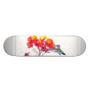 Recherche de faune skateboards Colibri