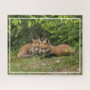 Recherche de fox puzzles Animaux