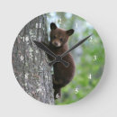 Recherche de ours horloges Faune