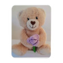 Recherche de peluche magnets Enfant