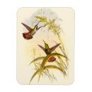 Zoek naar gould John gould
