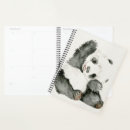 Recherche de furry Animal