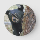 Recherche de mammif horloges Ours