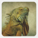Recherche de reptilien autocollants Animal