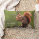 Zoek naar eekhoorns kussens Schattig
