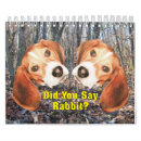 Recherche de chasse bureau fournitures Beagle
