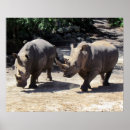 Recherche de rhino posters Animal