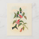 Recherche de nymphe cartes postales Vintage