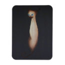 Recherche de chat siamois magnets Animal