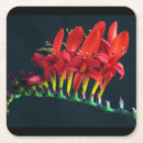 Recherche de art minimaliste dessous de verres Pour elle