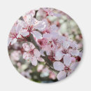Recherche de cerises rouges magnets Fleurs