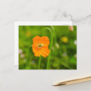 Recherche de orange verte cartes postales Botanique