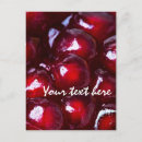 Recherche de graines cartes postales Fruit