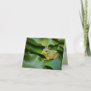 Zoek naar kikkerprins kaarten Liefde