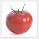 Recherche de tomate fraîche autocollants Mûr