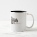 Recherche de prêt tasses Nature