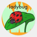 Recherche de petite coccinelle autocollants Mignon
