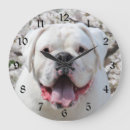 Recherche de taureau horloges Chien