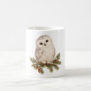 Recherche de jeunes hiboux tasses Jeune hibou