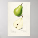 Zoek naar pers posters Groen