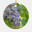 Recherche de glycines ornements Floral