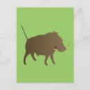 Recherche de sanglier cartes postales Sauvage