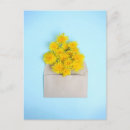 Recherche de fleur de pissenlit cartes postales Nature