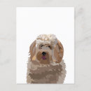 Zoek naar labradoodle briefkaarten Puppy