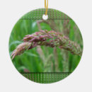 Recherche de gouttes pluie ornements Été