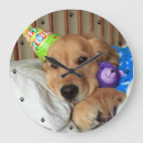 Zoek naar birthday klokken Schattig