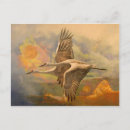 Recherche de programme apollo cartes postales Mythologie